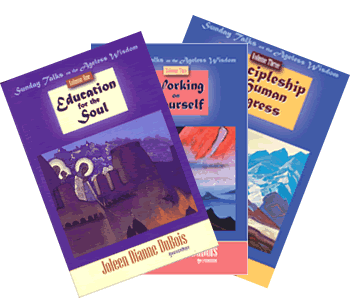 3 books by Joleen DuBois